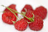 Raspberry red fruits Himbeeren Früchte Nahaufnahme rotes Obst