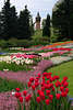 601273_ Tulpen-Rabatten im Garten Mainau Insel