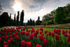 601352_ Schöne bunte Mainau Insel in Garten Foto vor Sonne, roten Tulpen-Rabatten & Blumen-Beeten