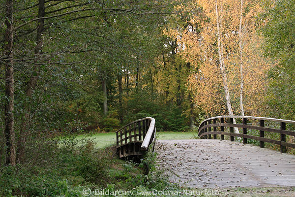 Brckenweg Herbstfoto Holzbrcke Park Spazierweg am Waldesrand in Bltter Laub