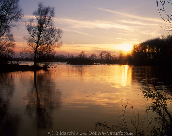 Sonnenuntergang ber Uferpflanzen Bume romantisches Licht-Spiegelung ber Fluss Natur