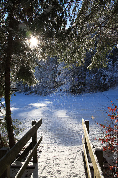 Schneeschmelze ber Holzsteg Sonne schneien fallend Kieferzweige