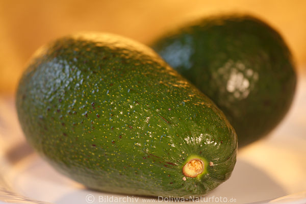Avocado-Frucht Persea americana tropisches Lorbeergewchs