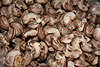 Cashew Nüsse Haufen Schalenfrüchte Nussmenge
