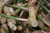 Ingwer, Thai-Ingwer Galangal, Pflanzen Wurzel foto, Ginger Gewuerze