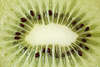 800402_ Kiwi Foto, Kiwifrucht Querschnitt Bild, Chinesische Stachelbeere Kiwikern, Kiwissamen, Actinidia chinensis