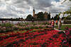 911404_ Roter Blumenteppich Foto von Garten am Marstall mit Schlossblick ber Wasser und BUGA Besucher
