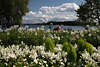 911432_ Menschen an wei-grn Gartenrabatte Foto mit Wasserblick auf Schweriner See unter Wolke