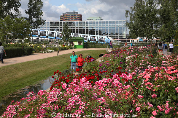 Hamburg Rosen-Variationen, IGS Gartenschau, prchtige Bltenfelder, Besucher, Zugwagons