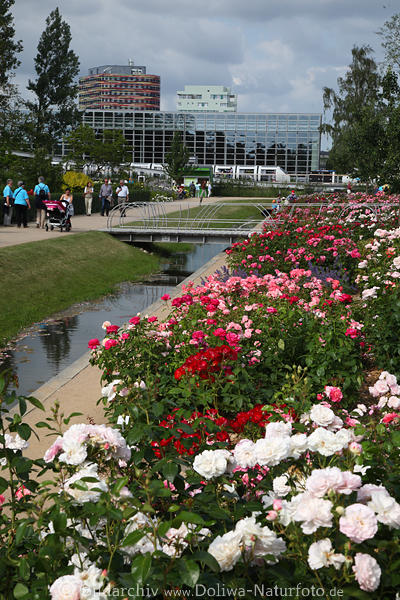 Wilhelmsburger Gartenschau, Rosenpracht, Beeten & Rabatten, Wasserkanal, Besucher Allee Spaziergang