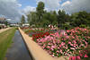 1302571_IGS Blumenrabatten Foto: bunte Rosenfelder am Wasserkanal in Bild von Gartenschau Wilhelmsburg