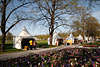 103461_Grtnermarktzelte Foto hinter Hyazinthen Frhlingsblte im Park Herrenbreite in Aschersleben