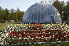 1100395_ Blumenbeete rot-weie Tulpenblten Bild vor Halbkugelkuppel Kirche Himmelszelt Foto