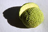 Jackfrucht Foto tropisches Obst Querschnitt Fasern grüne Baumfrucht rund in Bild
