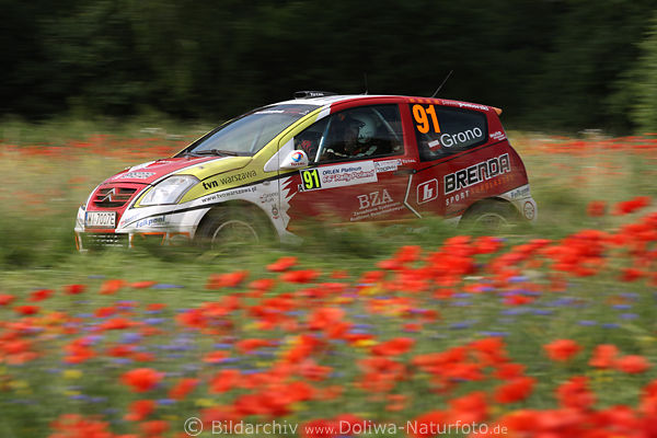 Citroen Rennwagen sprint in Mohnfeld rote Blumen Masurens Naturstrecke