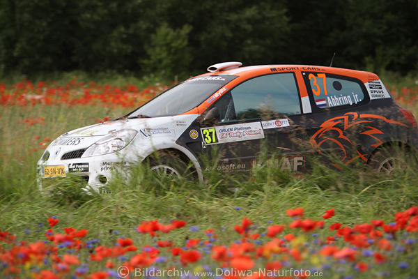 Rally-Polen Rennwagen in Mohnfeld rot-blau Blumen Grnwiese