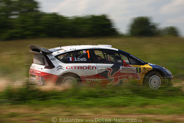 Sebastien Loeb Citroen C4 Geschwindigkeit Dynamik auf Naturpiste in Masuren Landschaft