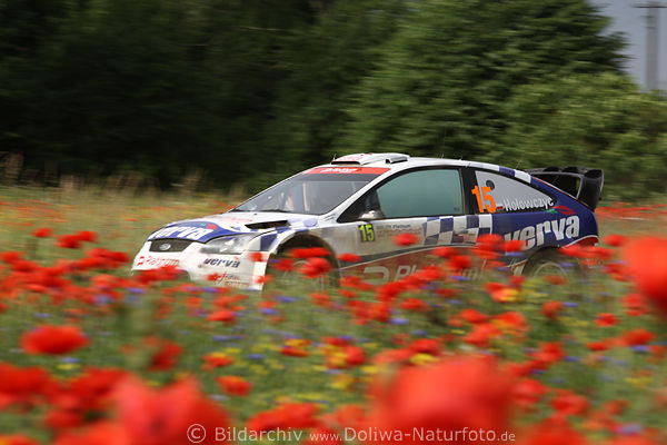 Mazury Rajd Polski Holowczyc Ford Focus rasen durch Rotblumen Landschaft