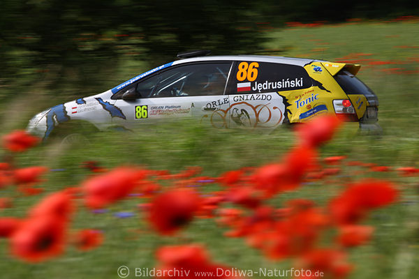 Rally-Polen Rennauto Bewegung in Rotblumen Masuren romantische Strecke Rajd speed motion