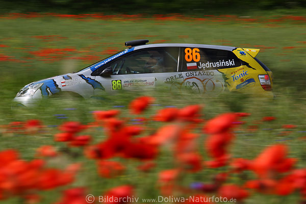 Honda Rennauto in Mohnfeld verwischte Rotblumen Masuren Naturrennen