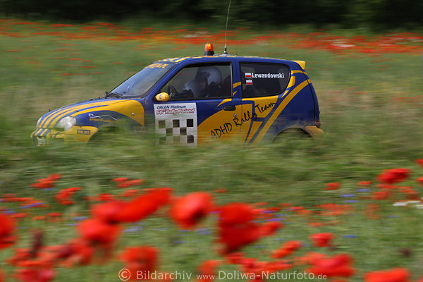Autorennen in Mohnblumen Rotblten Landschaft verwischt dynamische Fahrt