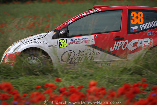 Rennauto in Blumen Masuren Naturfeld Rennpiste Prokop Tschechien Autofahrer