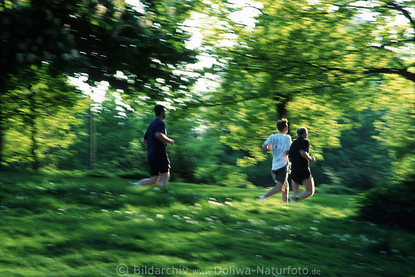 Jogger Trio Laufen in Natur Frhling Fitness Foto Mnner Frhjahrs Jogging