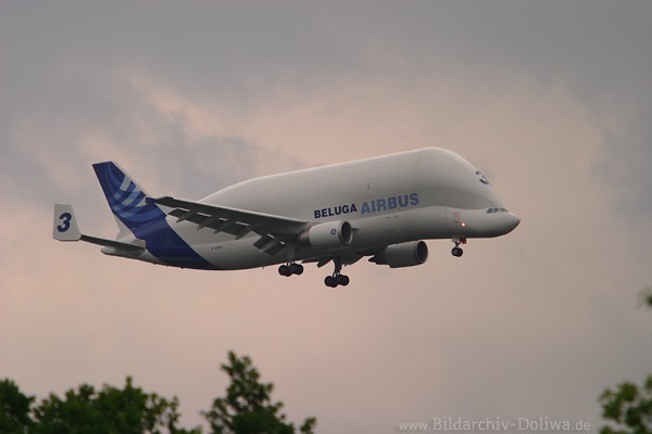 Airbus Flieger Beluga Transportflugzeug Flugbild am Wolkenhimmel