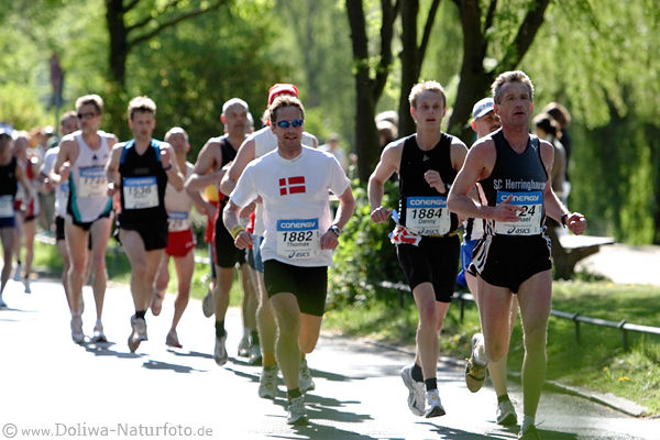 Marathonläufer in Hamburg Alsterallee Laufbild
