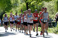 Hamburger Frühling-Lauffoto Marathon Läufergruppe Sportbild in grüner Alsterallee