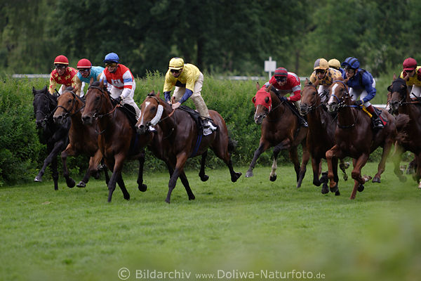 Galoppfoto Alde Gott Turfrennen Jockeys Pferde v.li. Wilarco, Desca, Brix Lauf in Grn