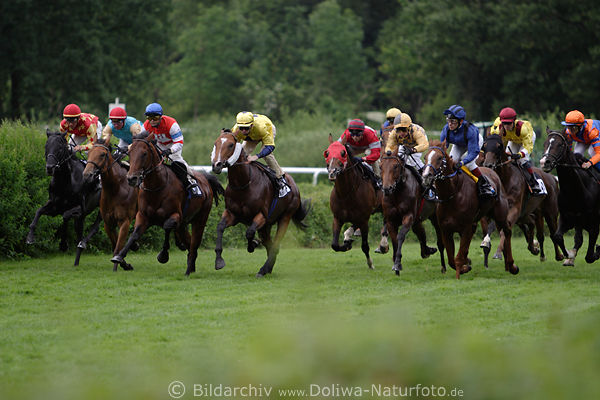 Galoppade-Sportfoto Alde Gott Pferderennen in Naturbild grner Horner Rennbahn