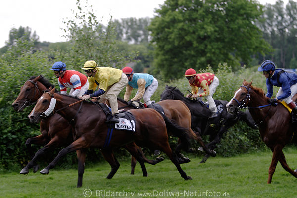 PferdeReiter Kopf an Kopf Galopprennen Alde Gott Wettrennen dynamisches Bild