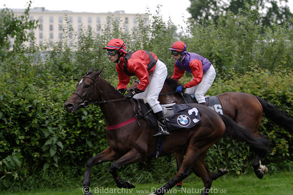 Galopprennen Deutscher RingCup Hrdenrennen hintere Gerade Almera Raoul J. Dygas