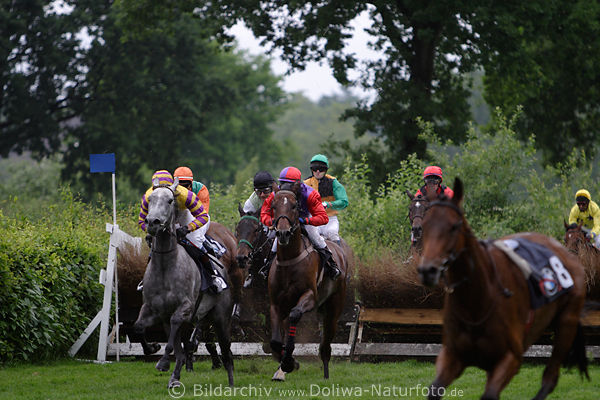 Hrdenrennen debutant Spielhahn (H) luft erschrocken ohne Jockey (P.A. Johnson)