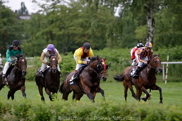 Galopp Aktionfoto Grnturf JAXX Pokalrennen: Areias mit Terence Hellier vorn auf Siegkurs