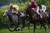 Galopp Hrdenrennen Aktionbild Pferde auf Grnrasen Jockey Vlastislav Korytar Tussi de Luxe auf Siegkurs