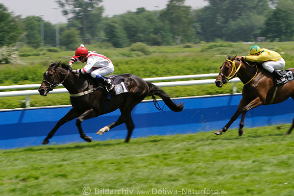 FreeMoon Rennpferd Jean-P. Carvalho Galoppfhrung Turffoto vor Rickard SWE mit E. Pedroza