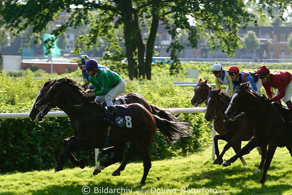 PferdeGaloppade Zweikampf Gegenlichtfoto Avec Toni Potters gegen Karmie Rastislav Juracek