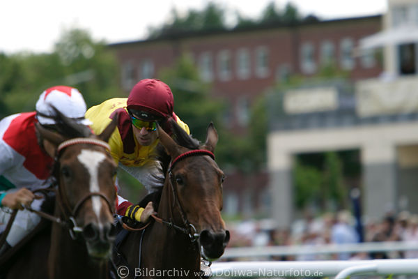 Pferdewettrennen William Mongil Bella Directa (4) verlorener Zweikampf mit A. Pietsch