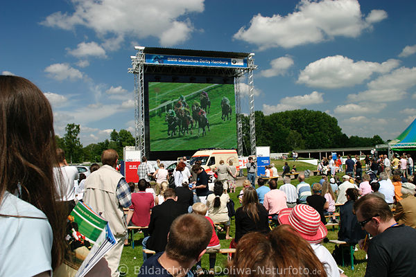 Galopp Wettrennen Zuschauer-Leinwand galoppierende Pferde Bild neben Frau mit Zeitung