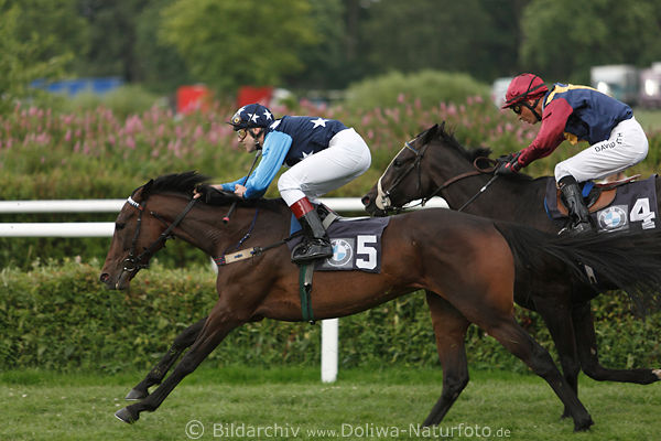 Jan Palik French-Emotion Pferd-Rennbild (Rennstall Blaues Wunder) vor Argar mit Fabian X. Weimeier