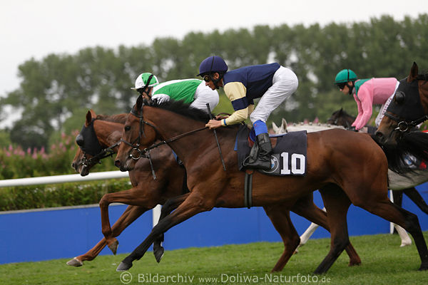 Longoria Adrie de Vries Starjockey stehend Galopp Bild Pferderennen Dynamikfoto
