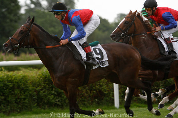 Galopprennen Sommersturm mit Michael Cadeddu vor Adlerflug mit Terence Hellier