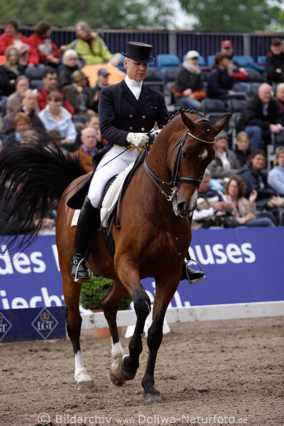 Kr Insa Hansen Le Touquet Dressurpferd Aktionfoto