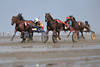 Wattrennen Traber in Schlick Spritzwasser Pferde Hufe Foto in Lauf Bewegung Aktionbild