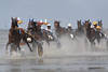 Wattrennen in Spritzwasser Nass Lauffoto Pferde Traber Sulkygespanne Aktionbild
