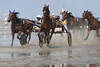 Pferde Traber Sulky-Fahrer in Schick-Spritzer Wattrennen Aktionbild