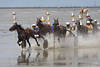 Pferde-Wattrennen Aktionfoto Trabgefährte in Wasserspritzer