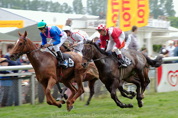 Fabrice mit Jockey Silverio Fhrung im Super 6 Rennen